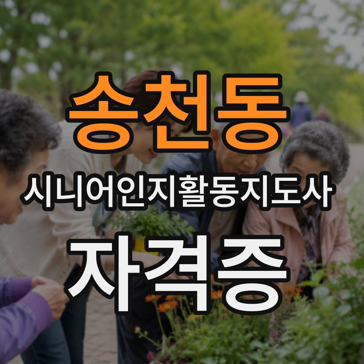 송천동 시니어인지활동지도사 자격증