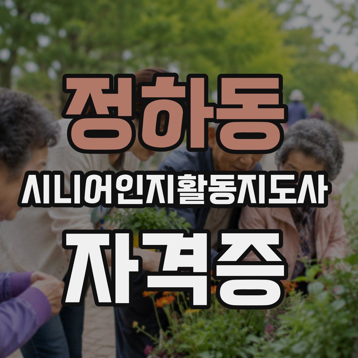 정하동 시니어인지활동지도사 자격증