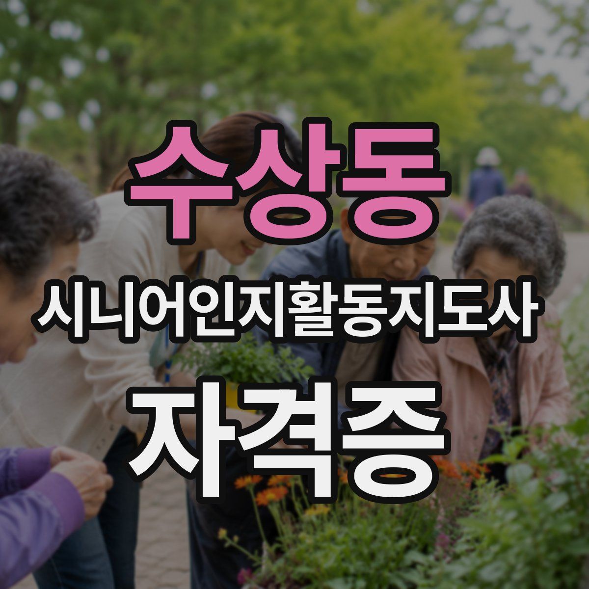 수상동 시니어인지활동지도사 자격증