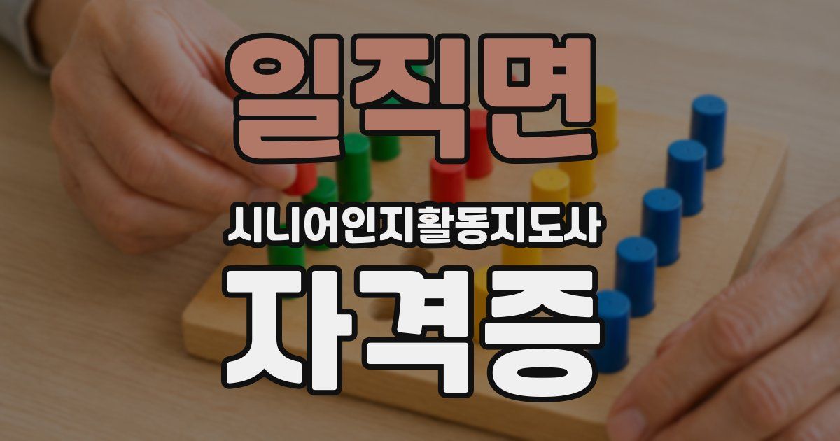 일직면 시니어인지활동지도사 자격증