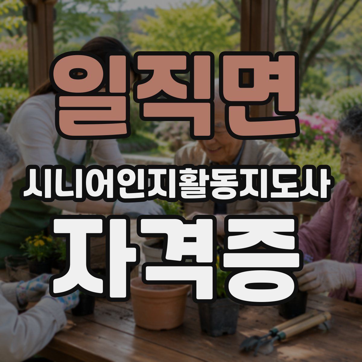 일직면 시니어인지활동지도사 자격증