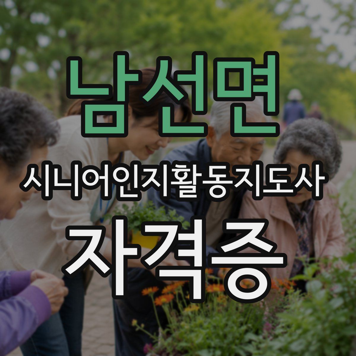 남선면 시니어인지활동지도사 자격증