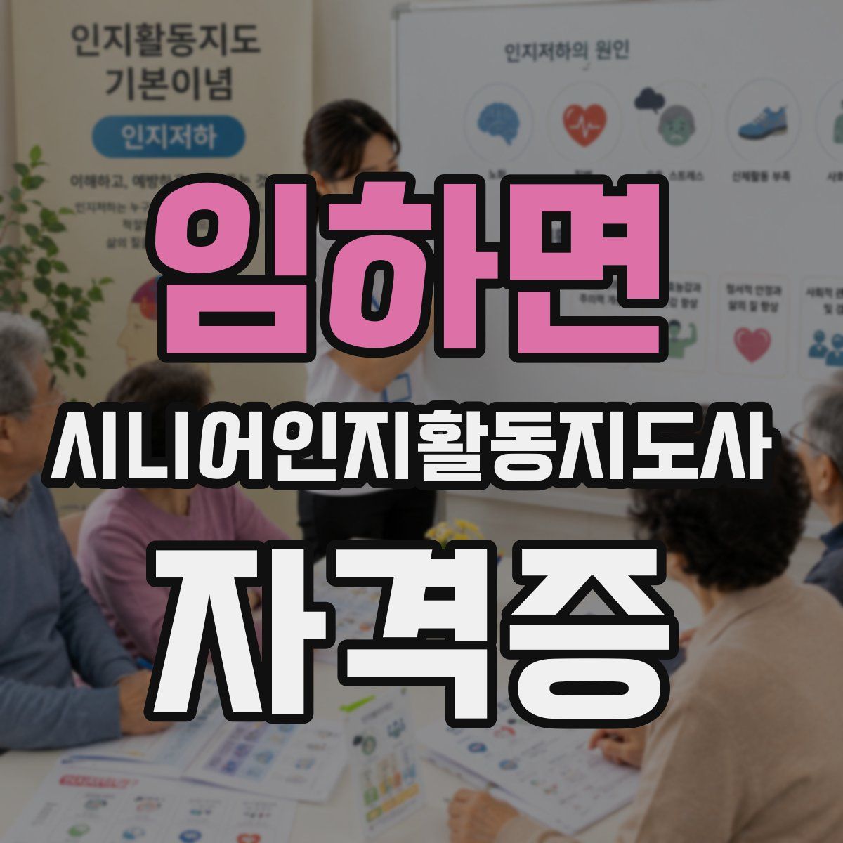 임하면 시니어인지활동지도사 자격증