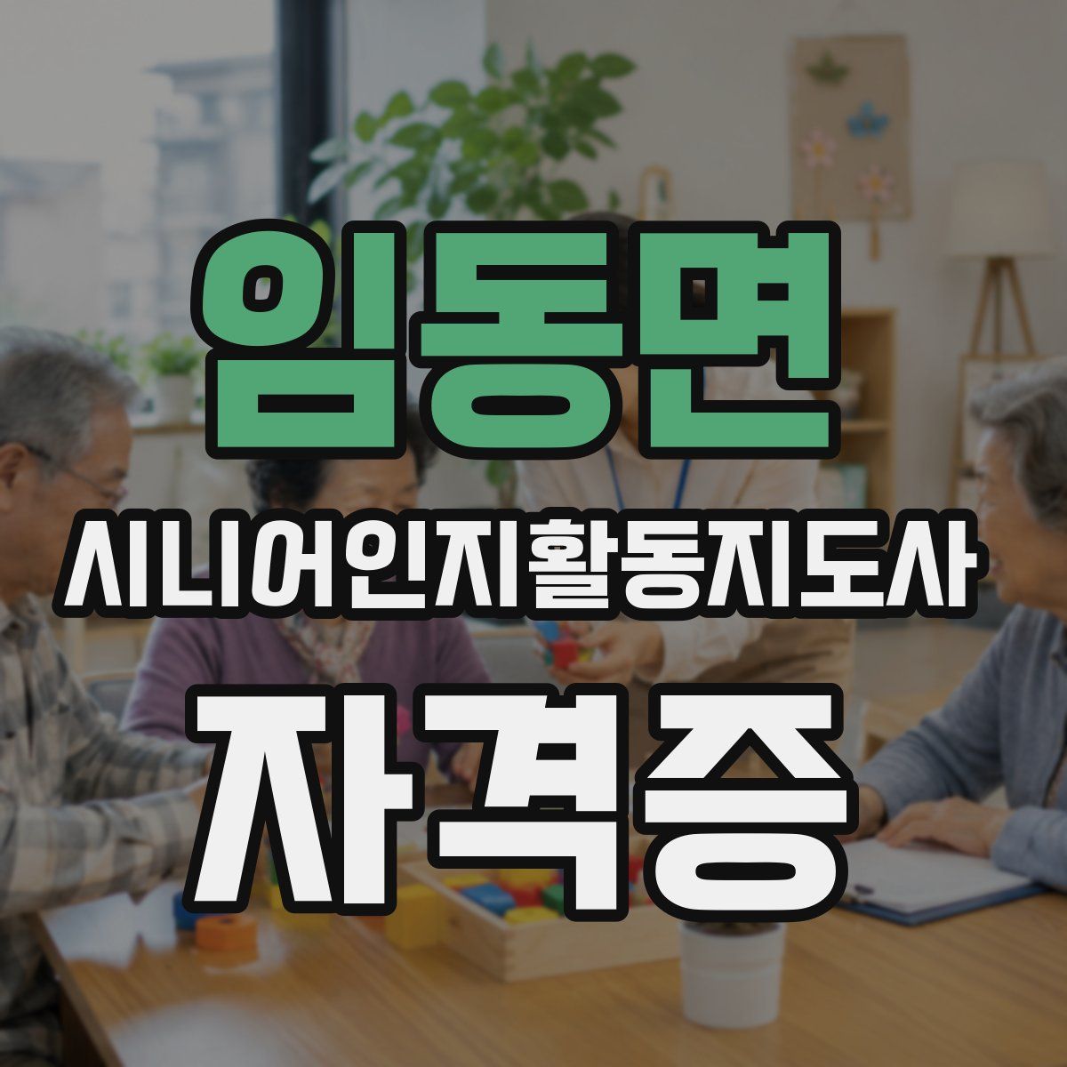 임동면 시니어인지활동지도사 자격증