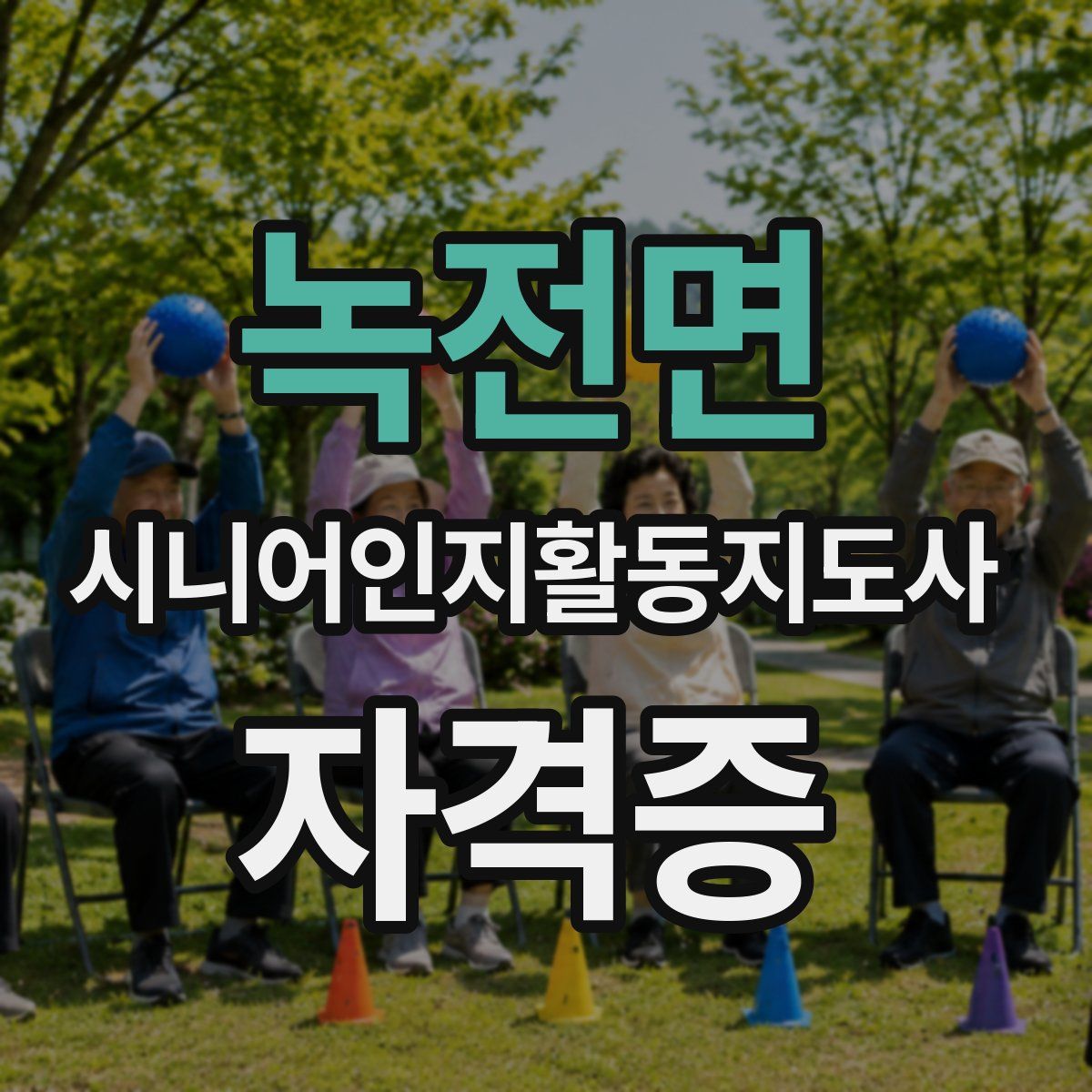 녹전면 시니어인지활동지도사 자격증