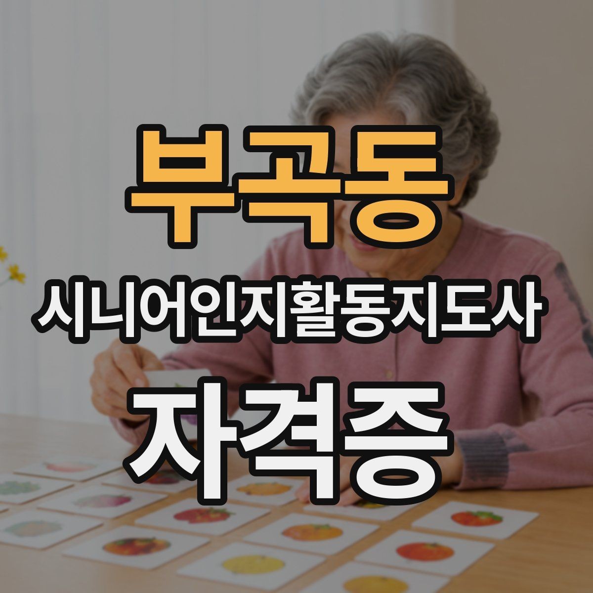 부곡동 시니어인지활동지도사 자격증 비교 시 놓치기 쉬운 점