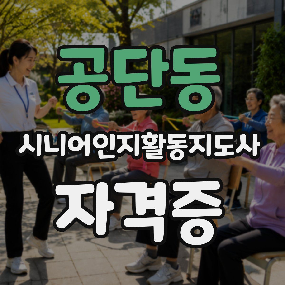 공단동 시니어인지활동지도사 자격증