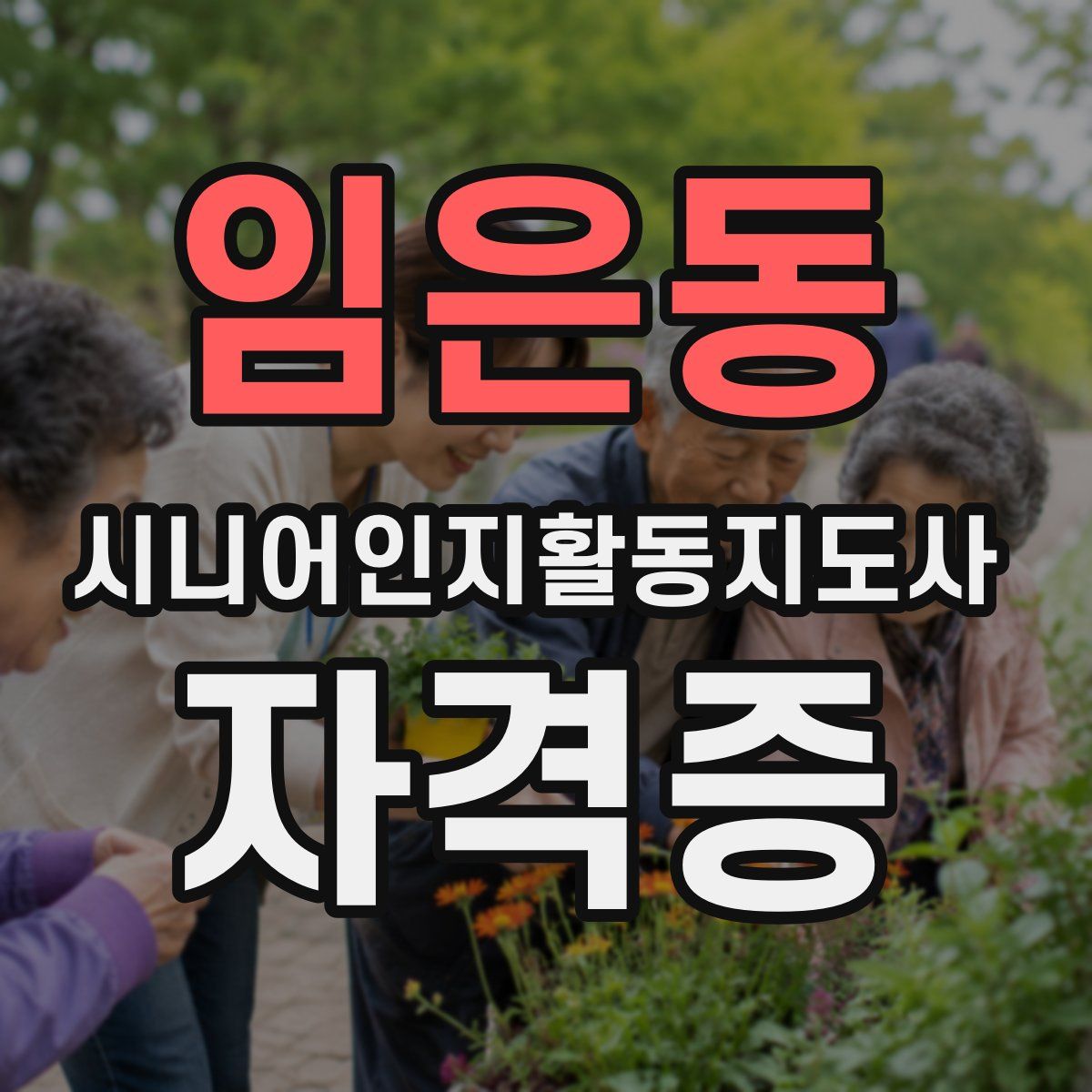 임은동 시니어인지활동지도사 자격증