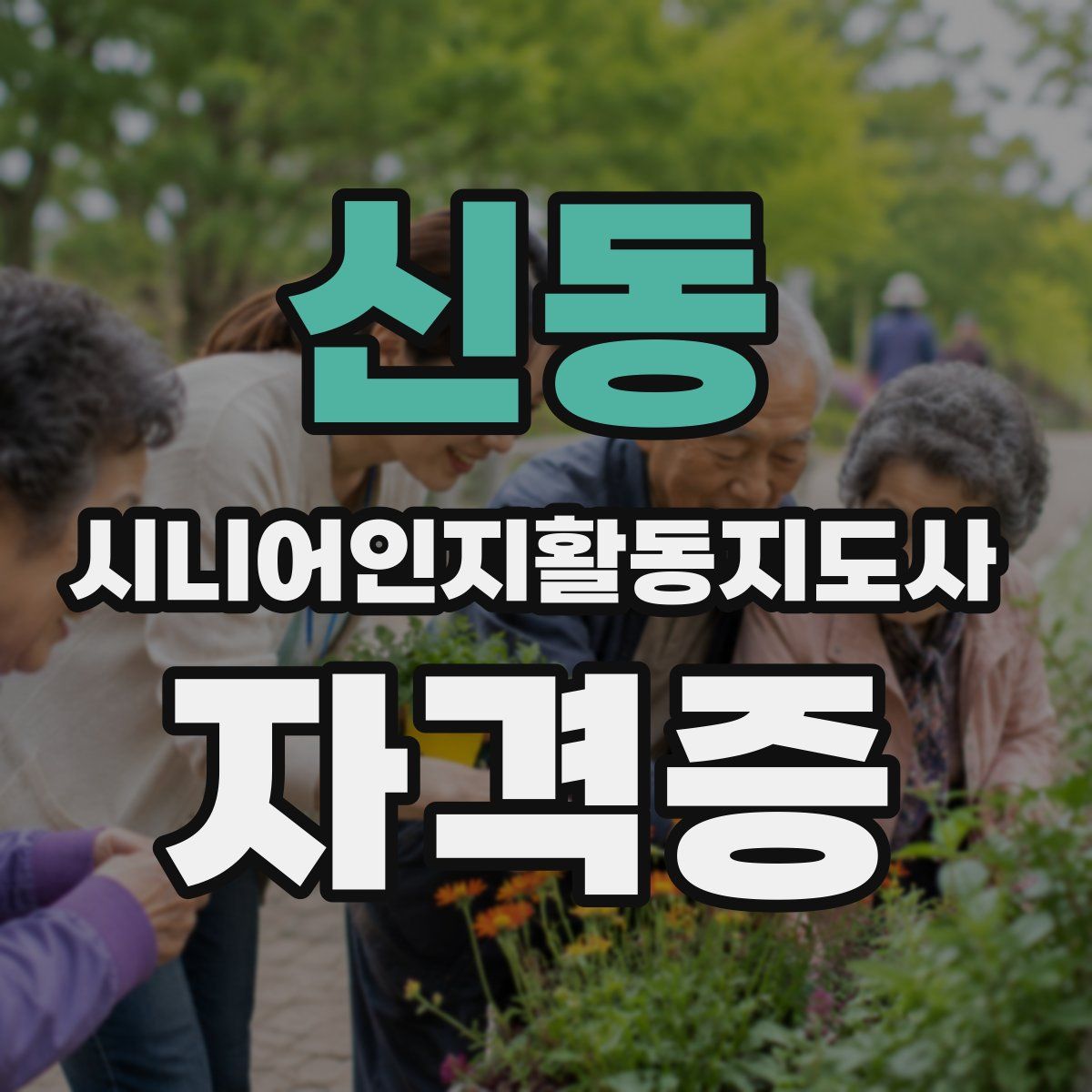 신동 시니어인지활동지도사 자격증
