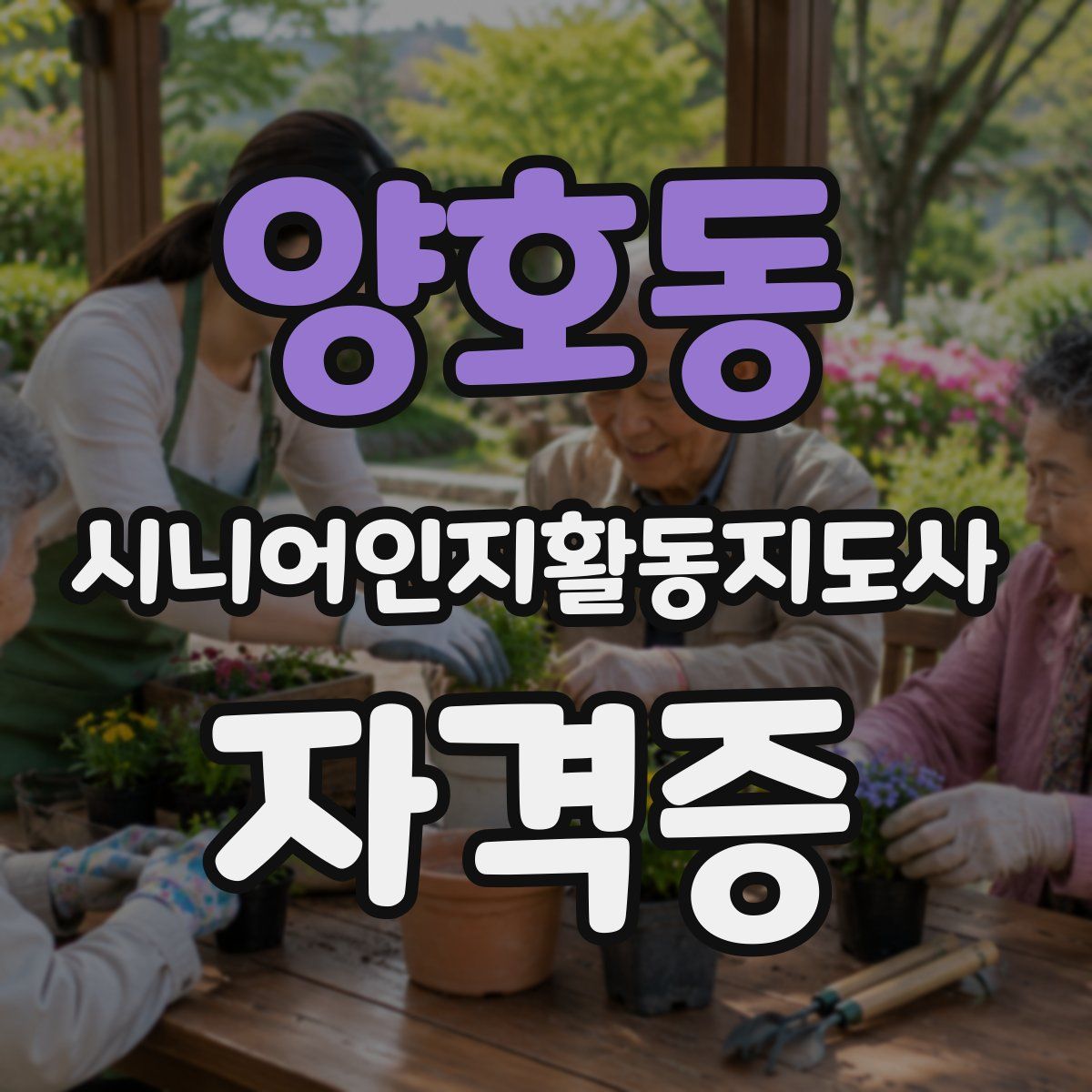양호동 시니어인지활동지도사 자격증