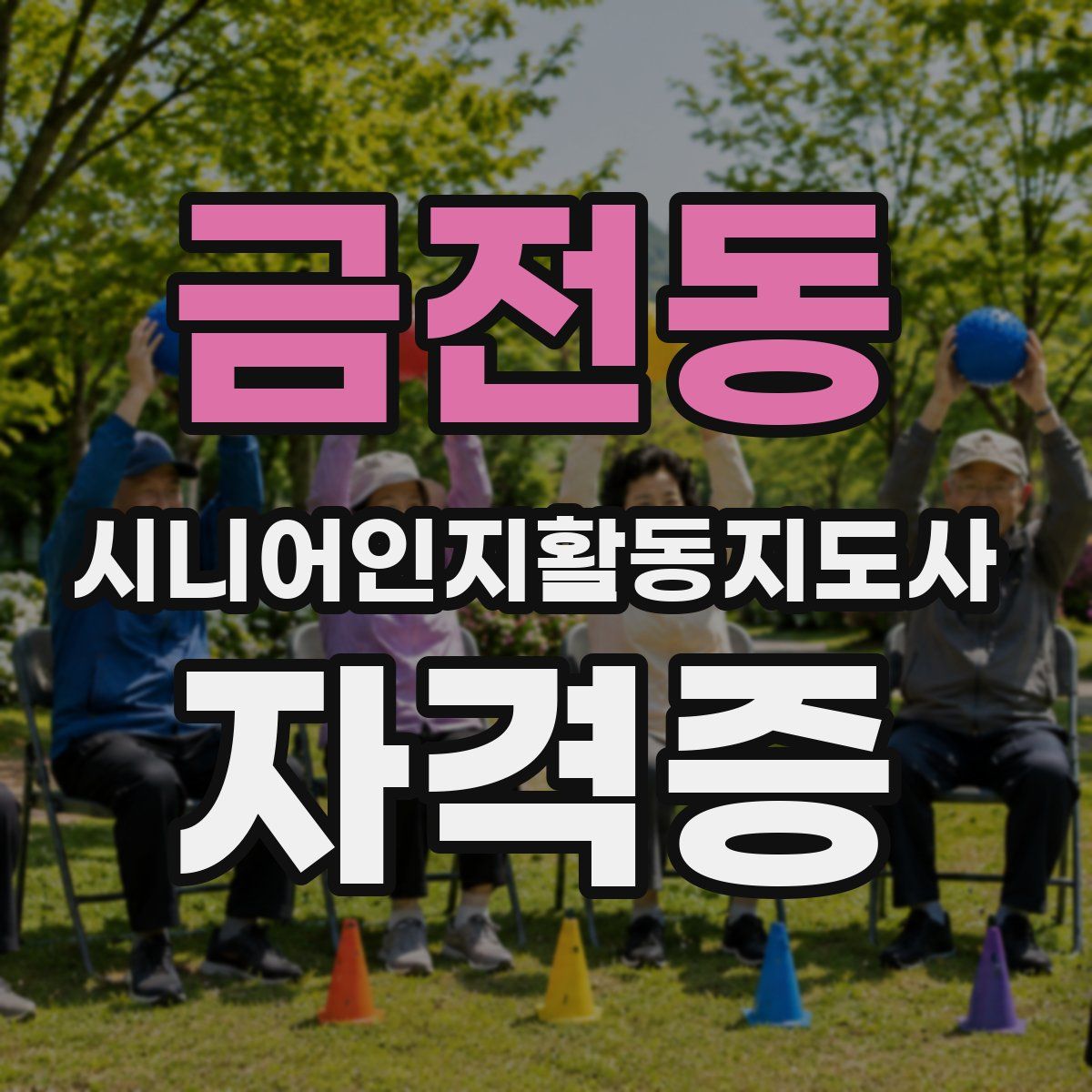 금전동 시니어인지활동지도사 자격증