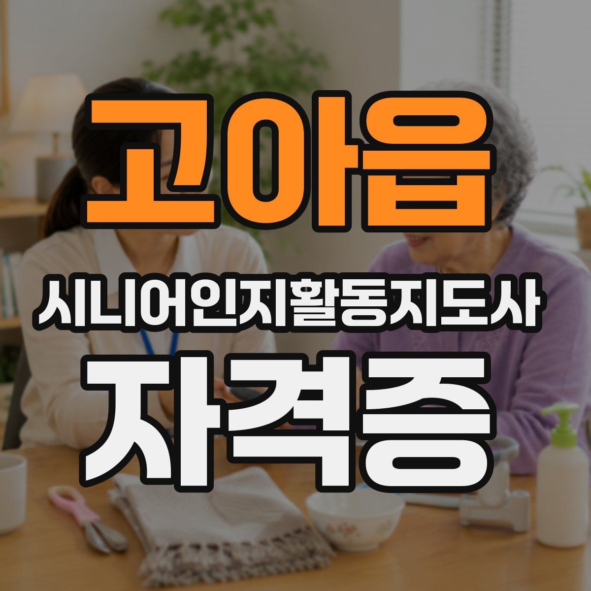 고아읍 시니어인지활동지도사 자격증 시험 유형과 출제 경향