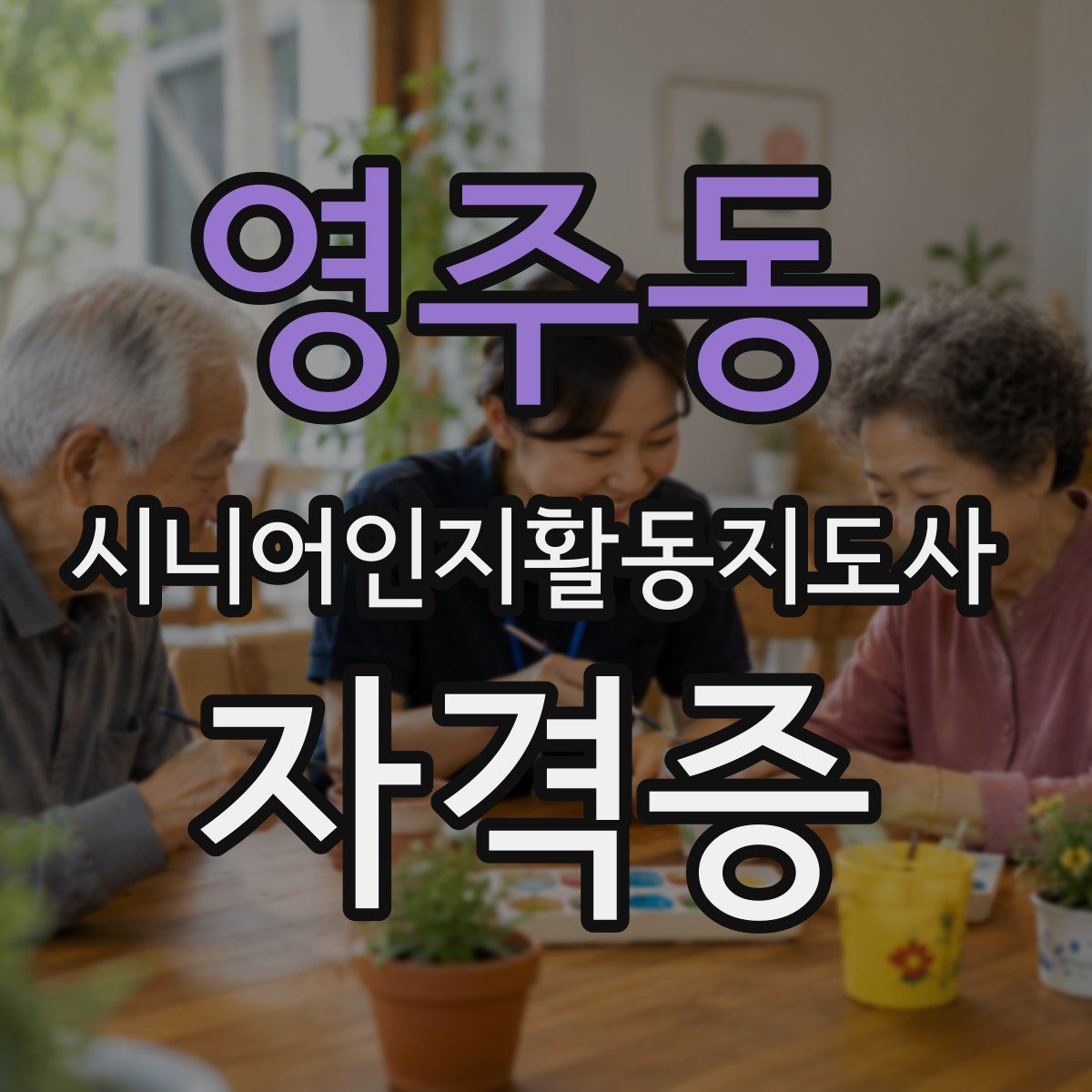 영주동 시니어인지활동지도사 자격증
