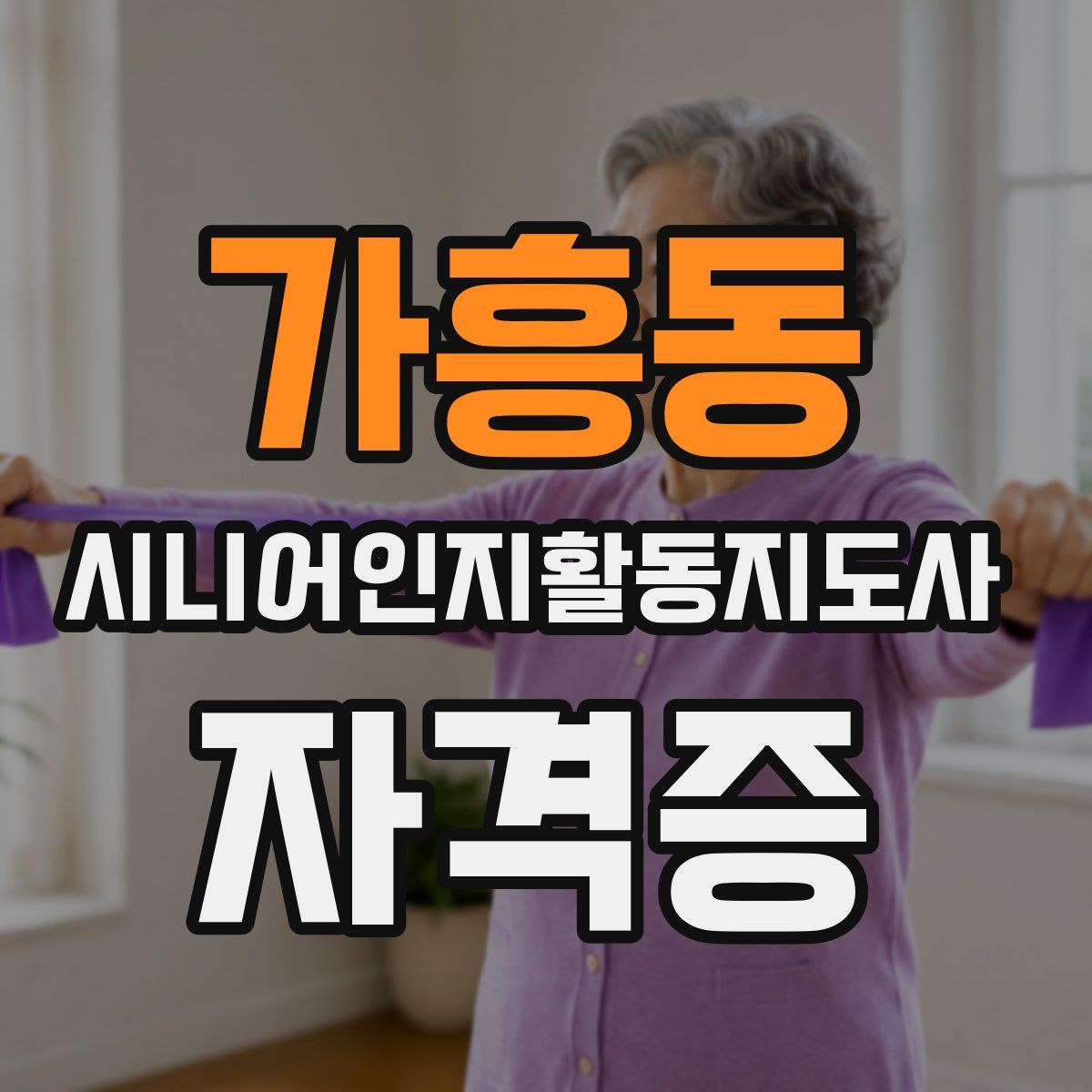 가흥동 시니어인지활동지도사 자격증
