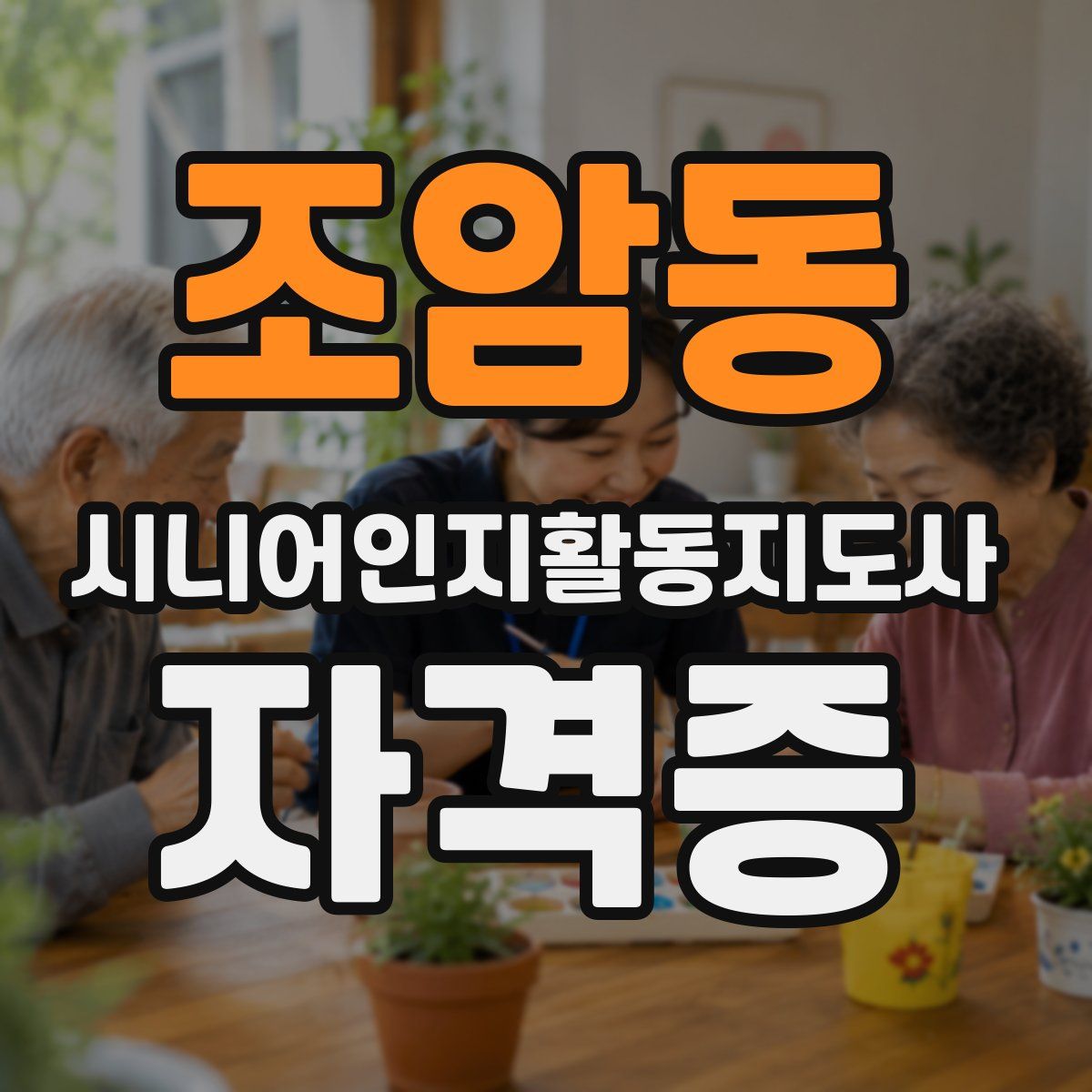조암동 시니어인지활동지도사 자격증