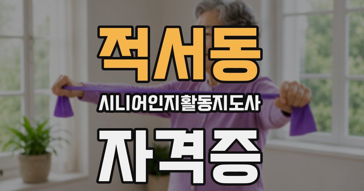 적서동 시니어인지활동지도사 자격증