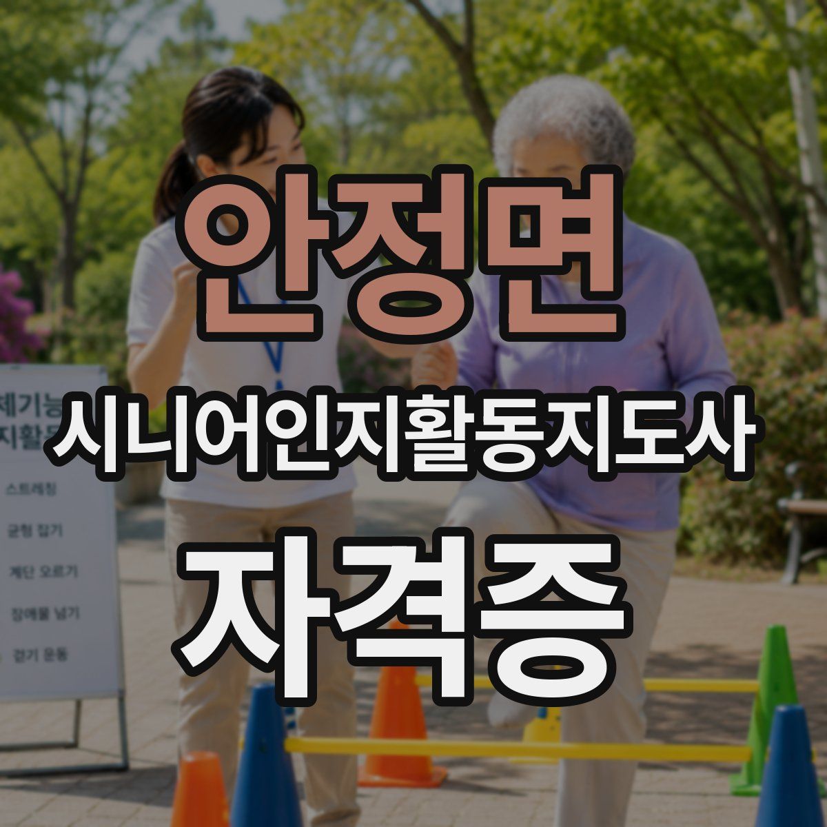 안정면 시니어인지활동지도사 자격증