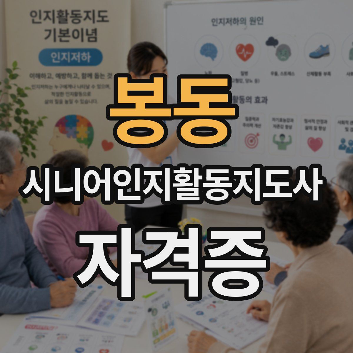 봉동 시니어인지활동지도사 자격증