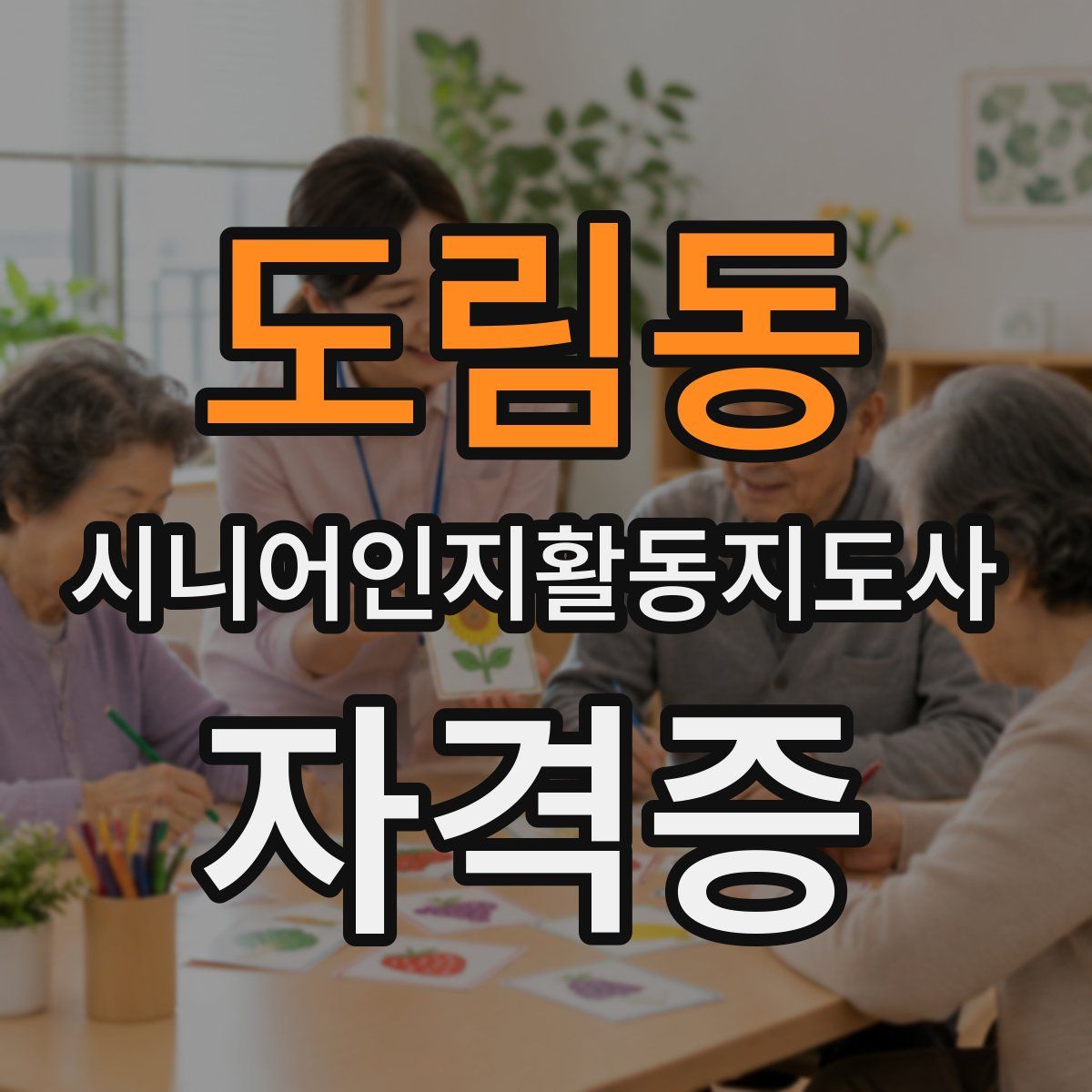 도림동 시니어인지활동지도사 자격증