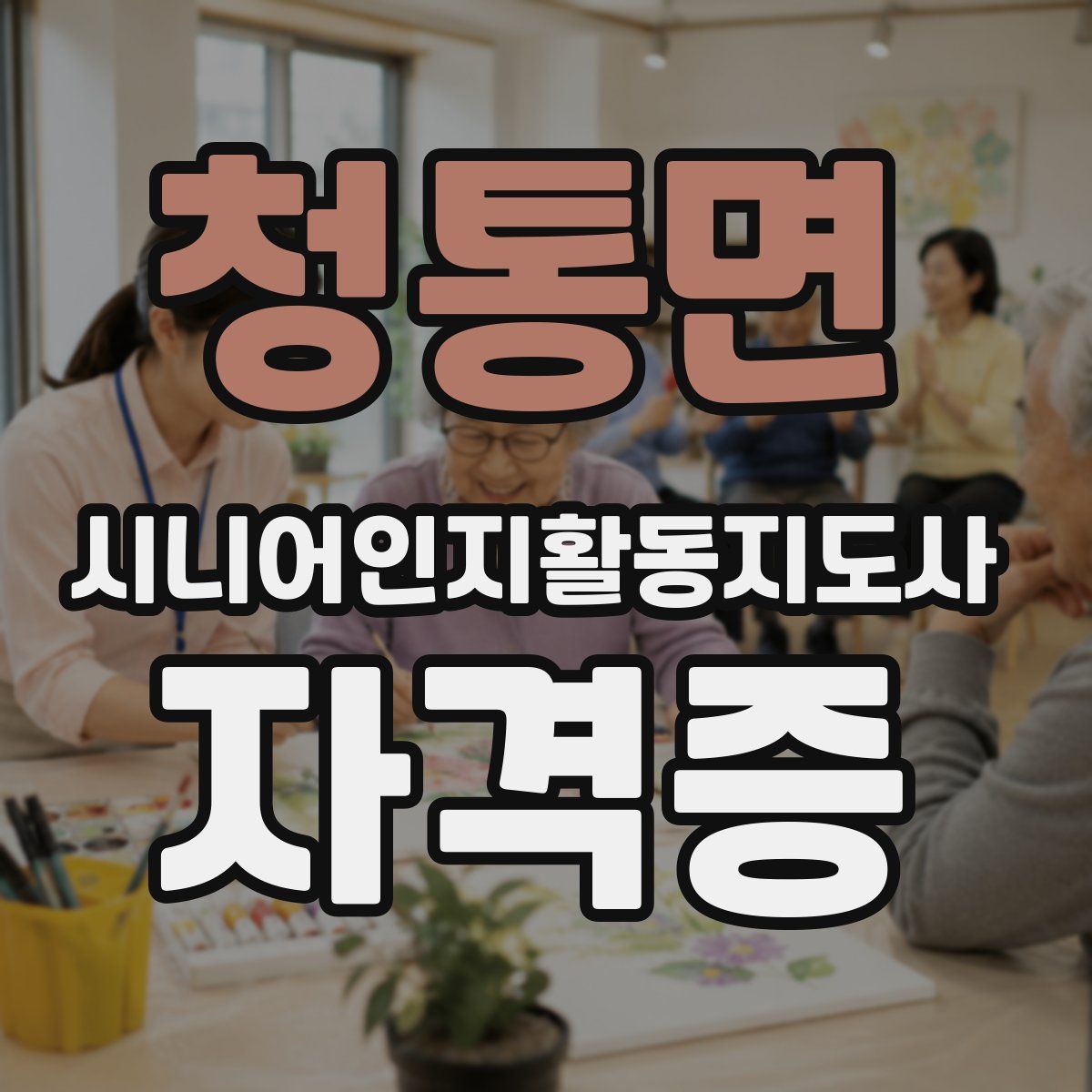 청통면 시니어인지활동지도사 자격증