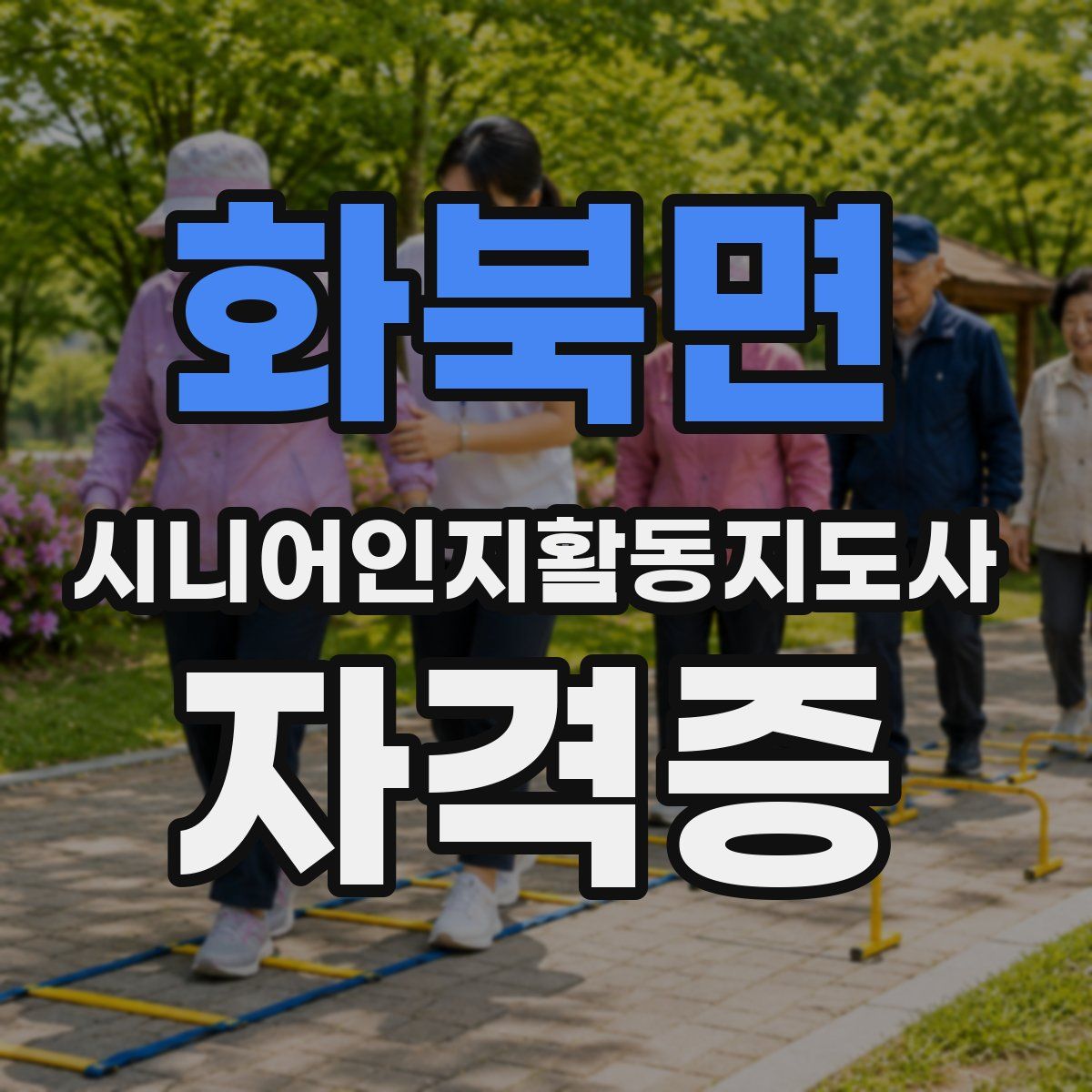화북면 시니어인지활동지도사 자격증