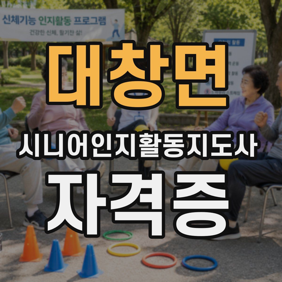 대창면 시니어인지활동지도사 자격증