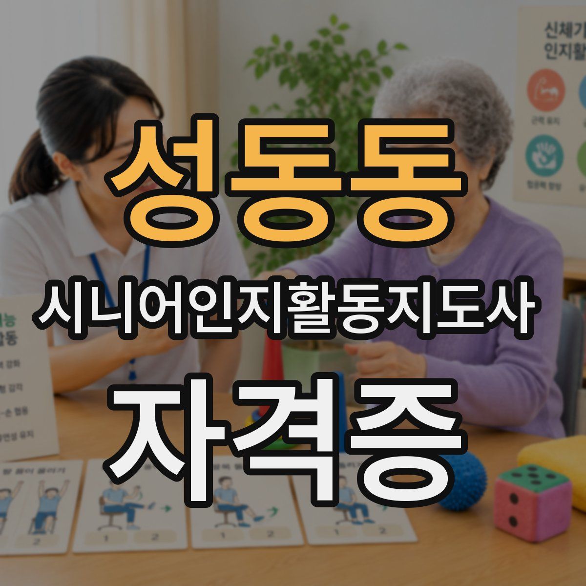 성동동 시니어인지활동지도사 자격증