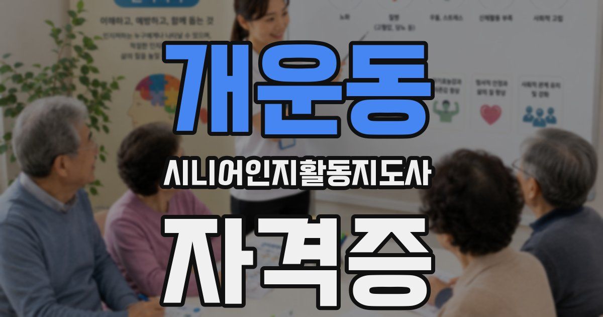 개운동 시니어인지활동지도사 자격증