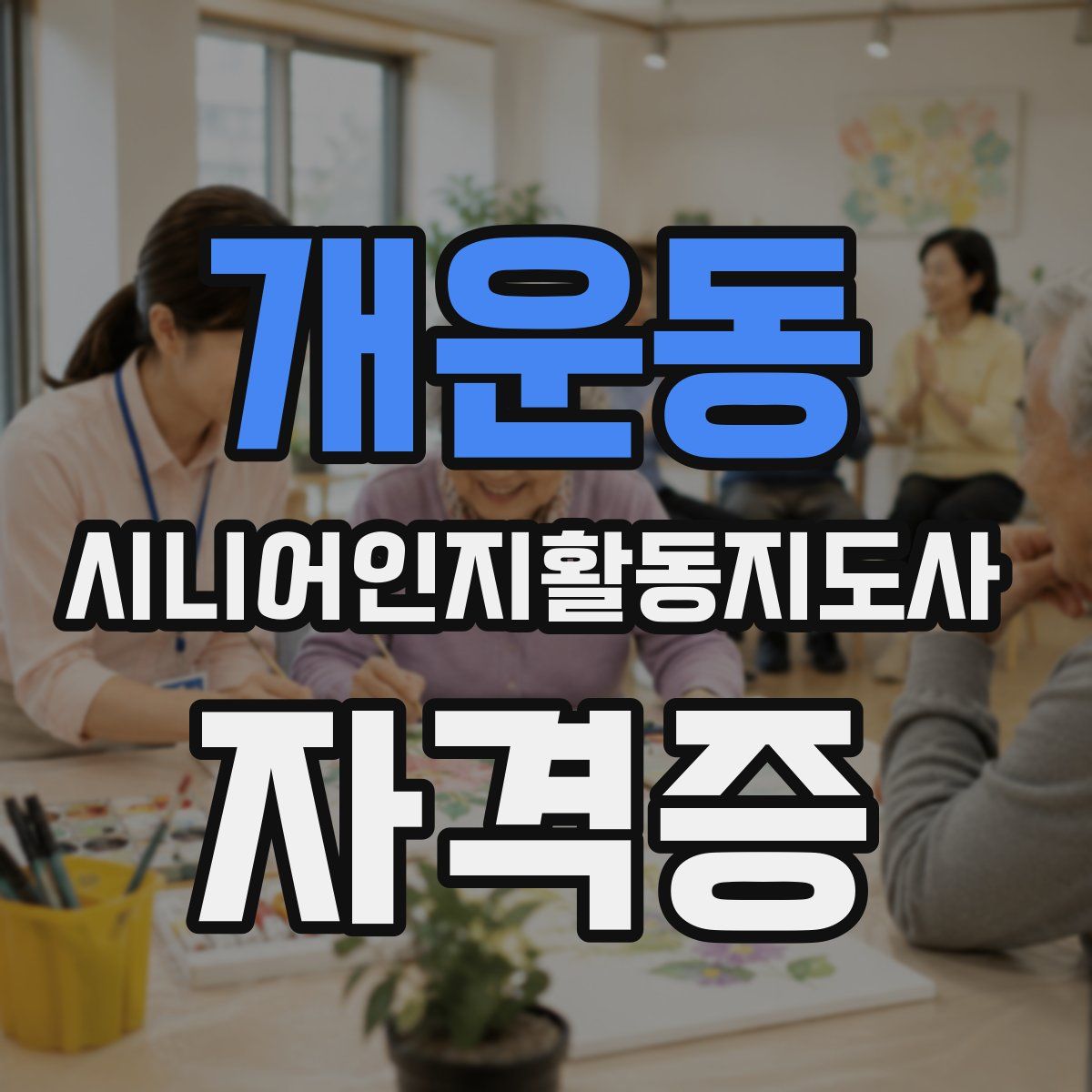 개운동 시니어인지활동지도사 자격증