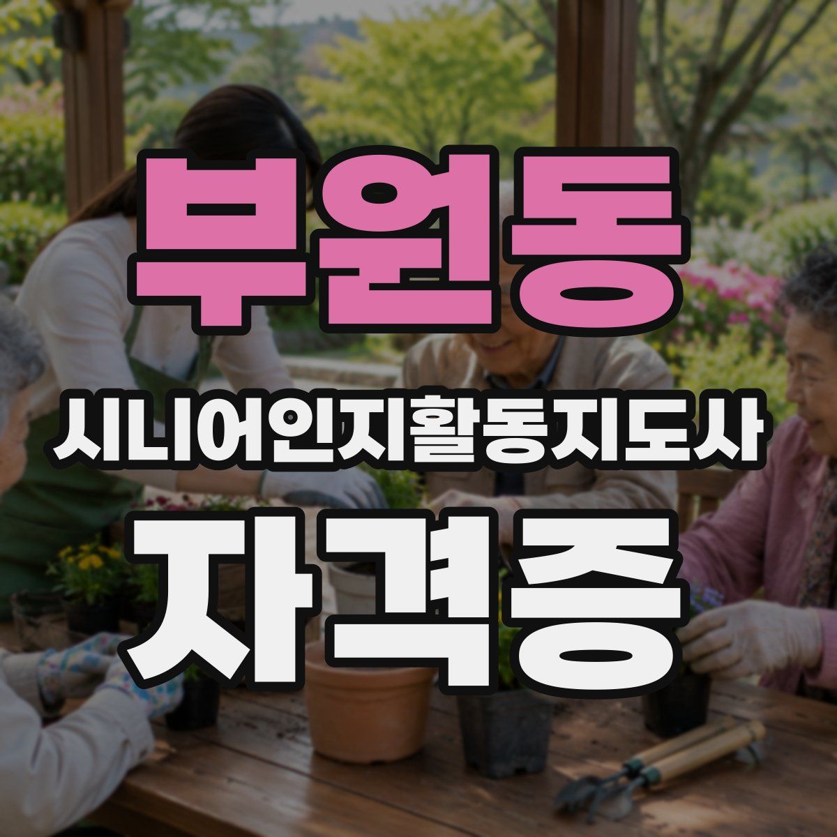 부원동 시니어인지활동지도사 자격증