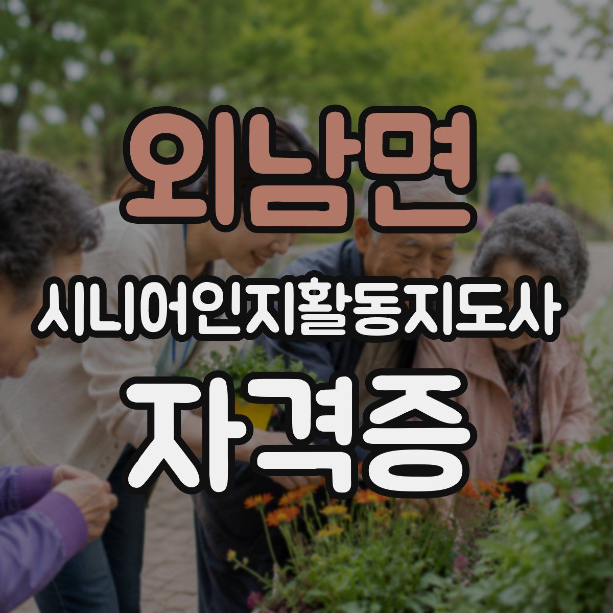 외남면 시니어인지활동지도사 자격증