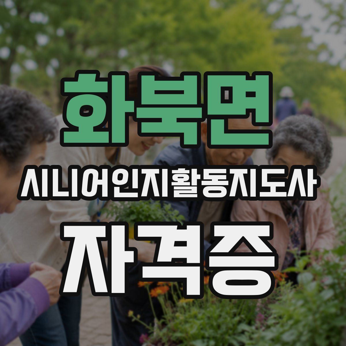 화북면 시니어인지활동지도사 자격증