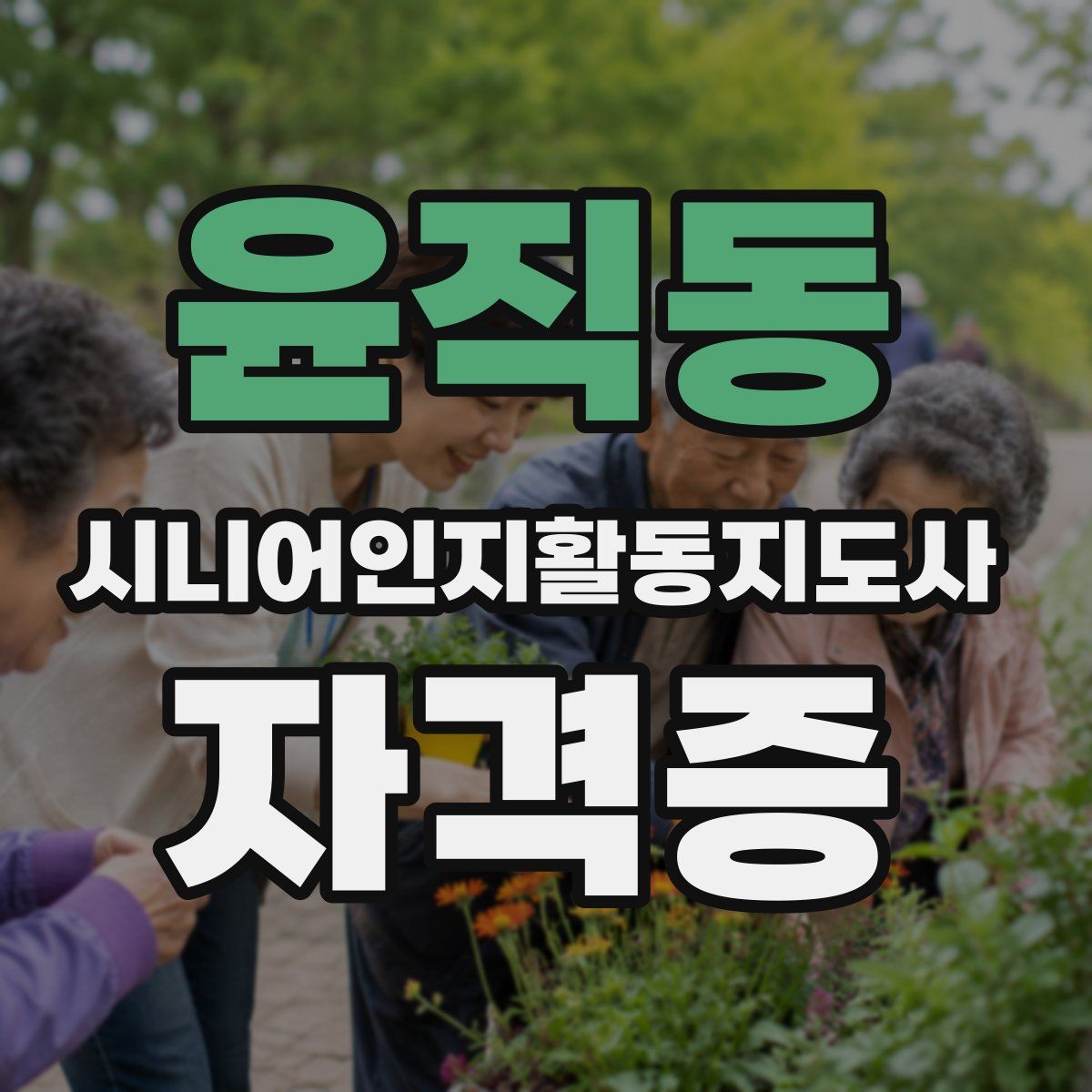 윤직동 시니어인지활동지도사 자격증