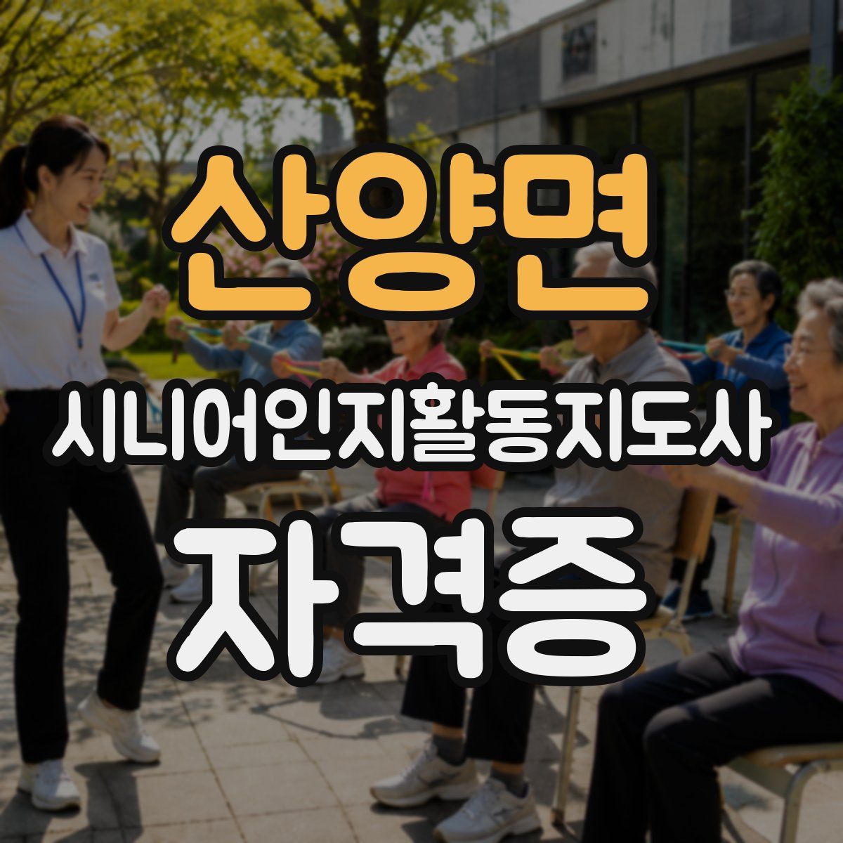 산양면 시니어인지활동지도사 자격증