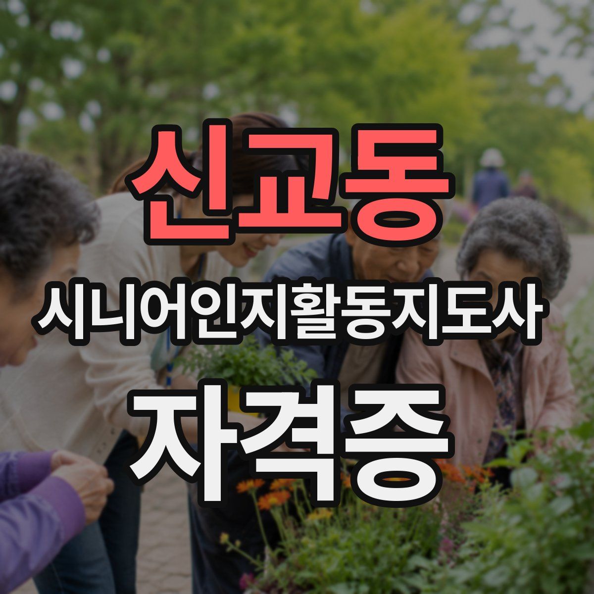 신교동 시니어인지활동지도사 자격증