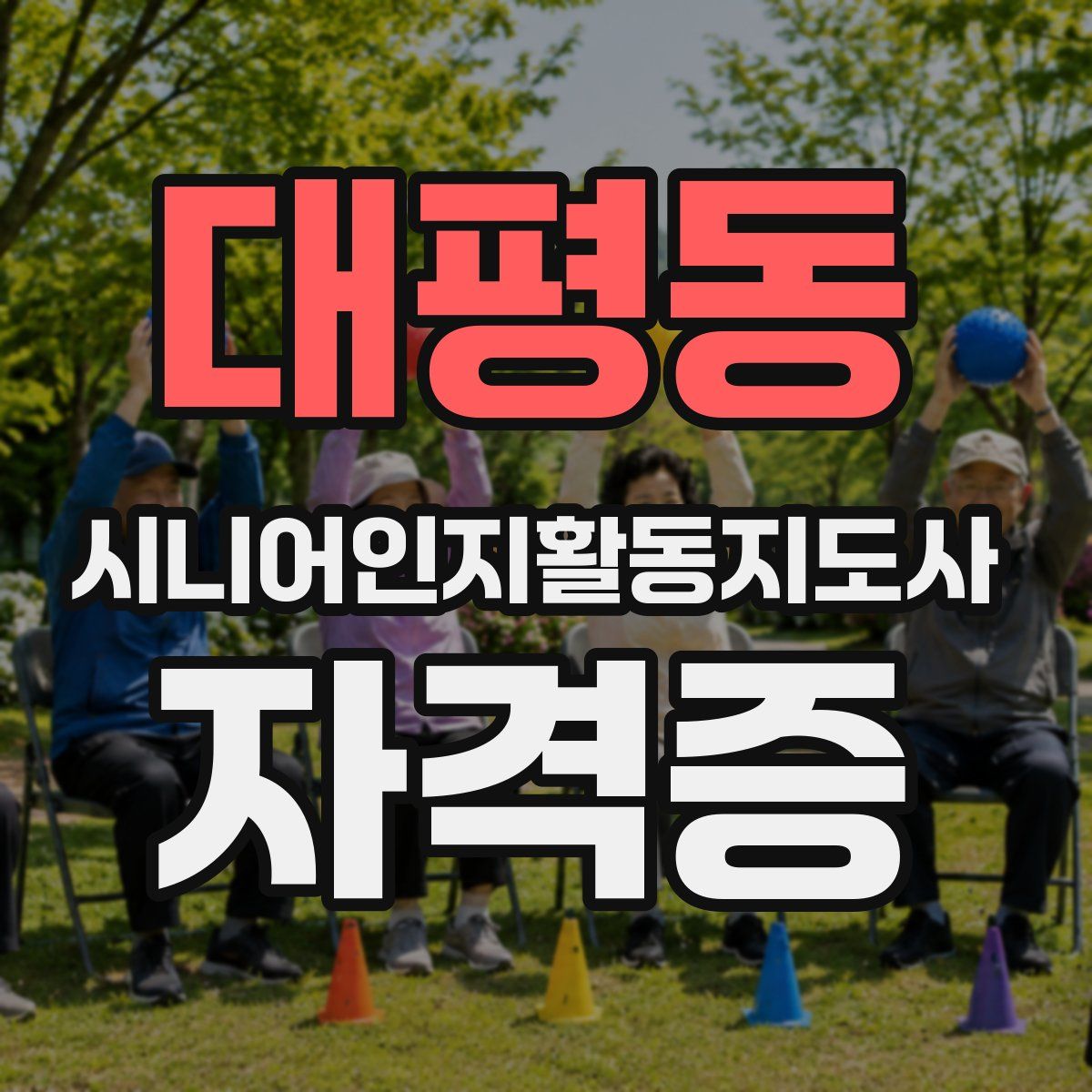 대평동 시니어인지활동지도사 자격증