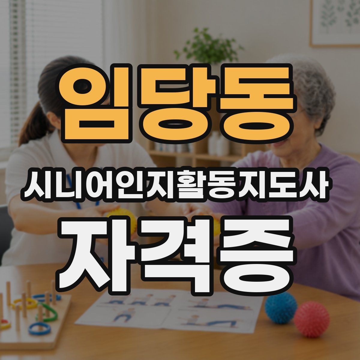 임당동 시니어인지활동지도사 자격증