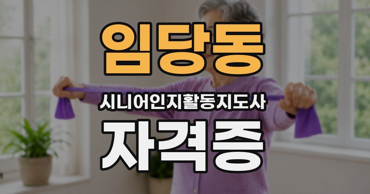 임당동 시니어인지활동지도사 자격증