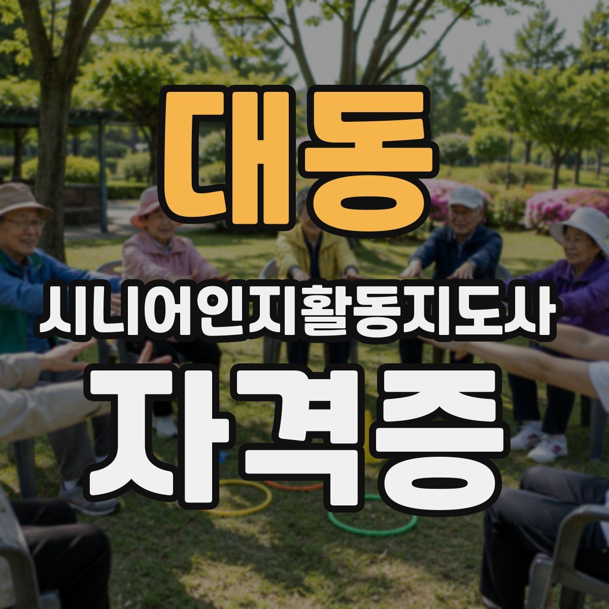 대동 시니어인지활동지도사 자격증