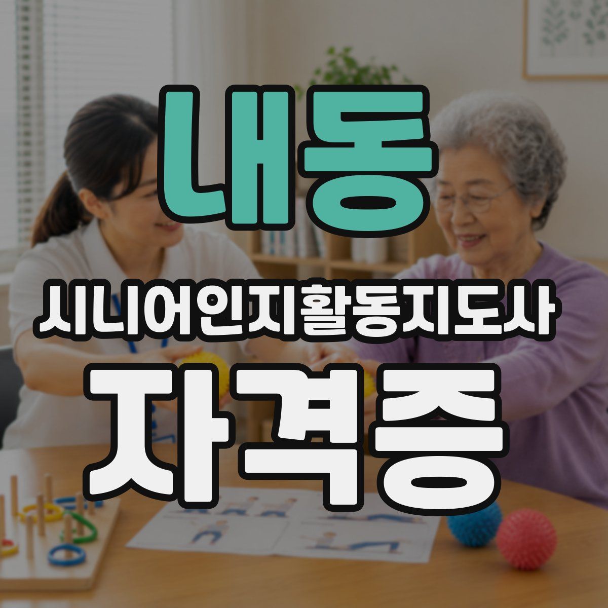 내동 시니어인지활동지도사 자격증