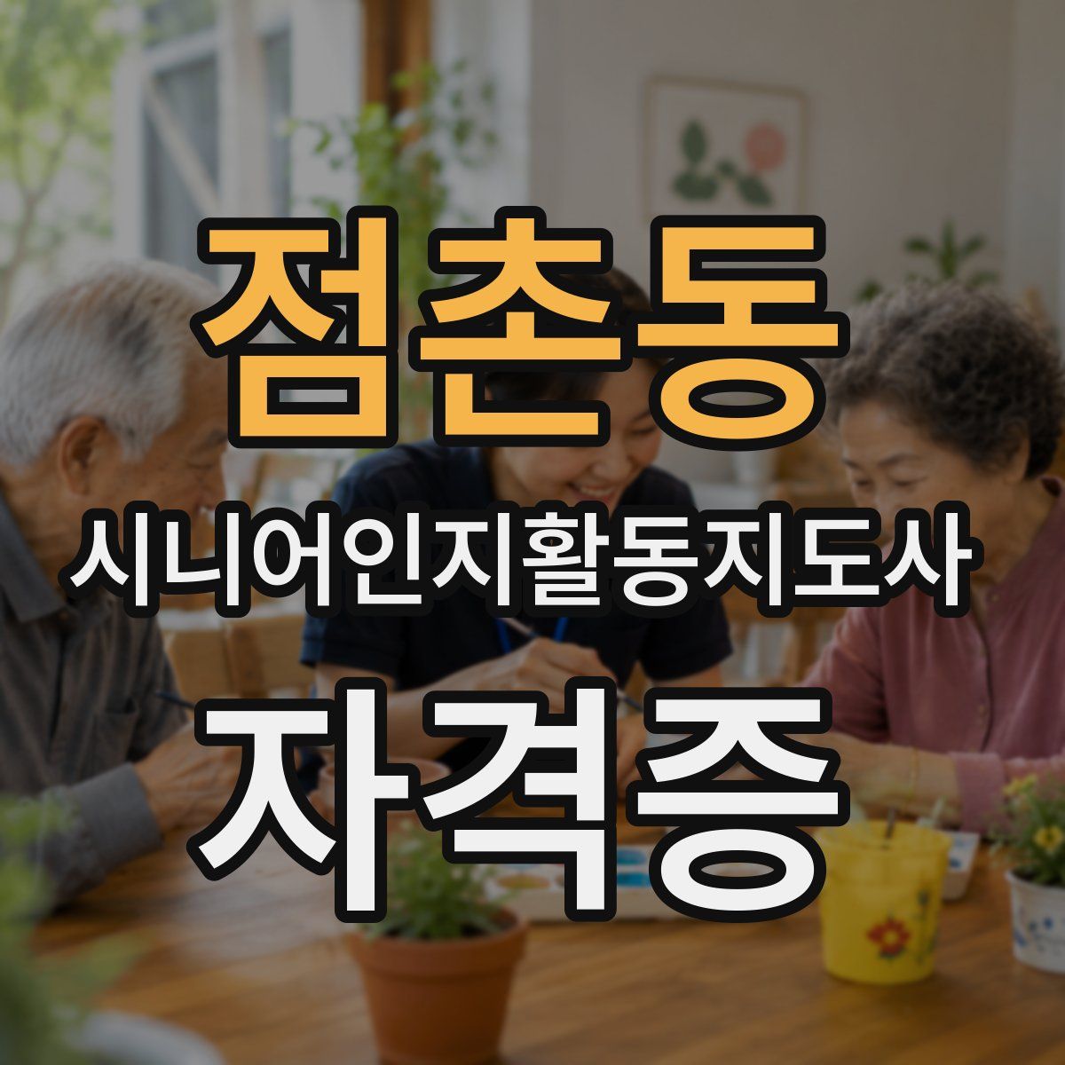 점촌동 시니어인지활동지도사 자격증