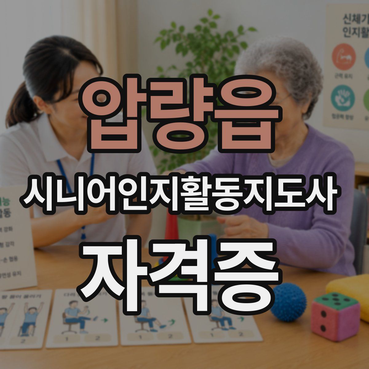 압량읍 시니어인지활동지도사 자격증