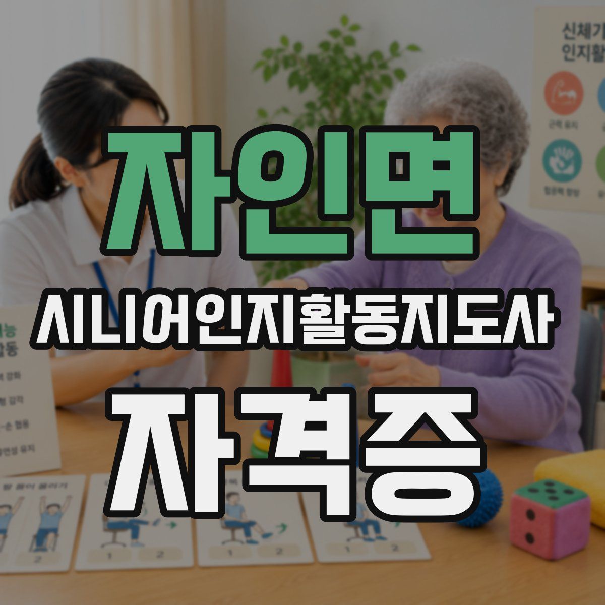 자인면 시니어인지활동지도사 자격증