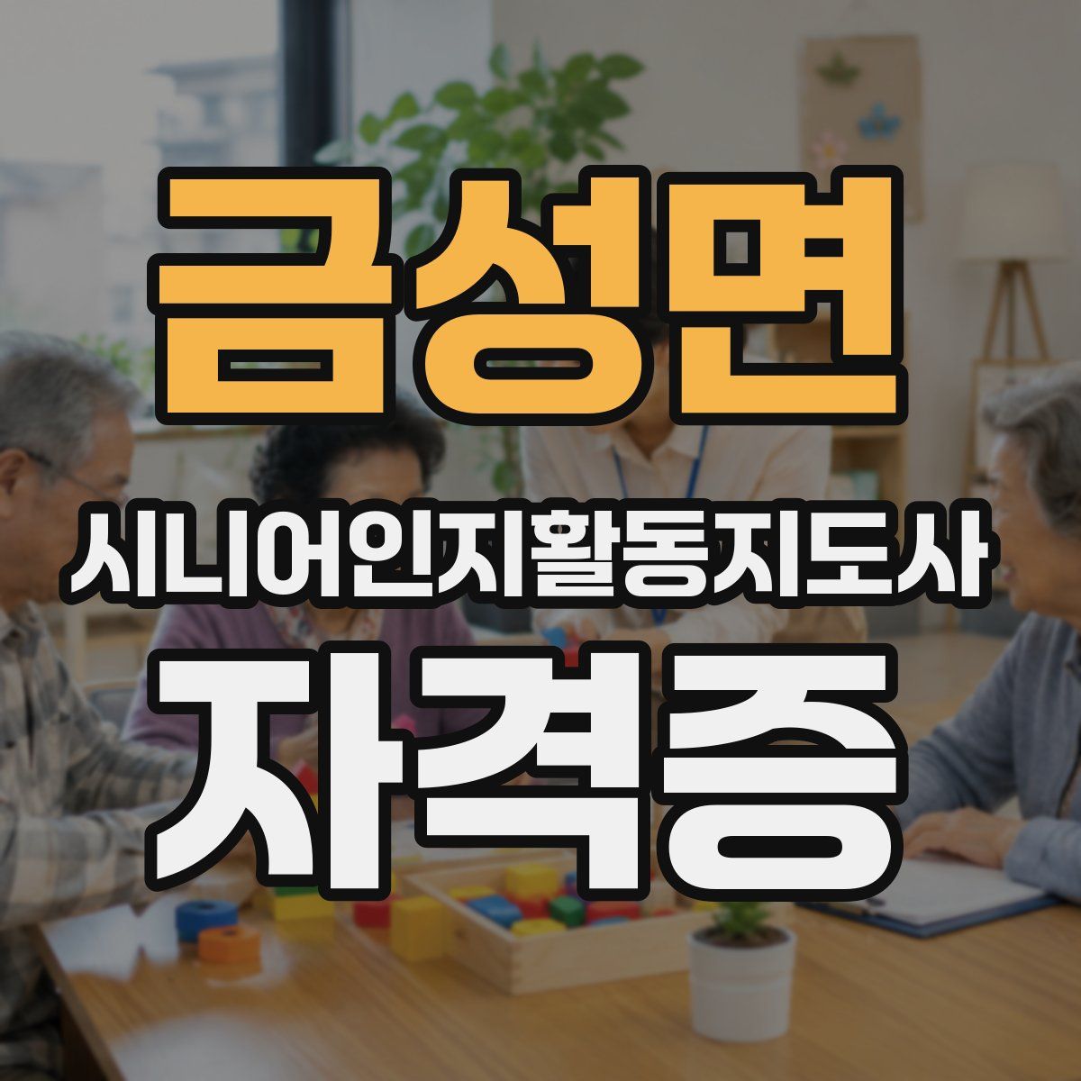 금성면 시니어인지활동지도사 자격증