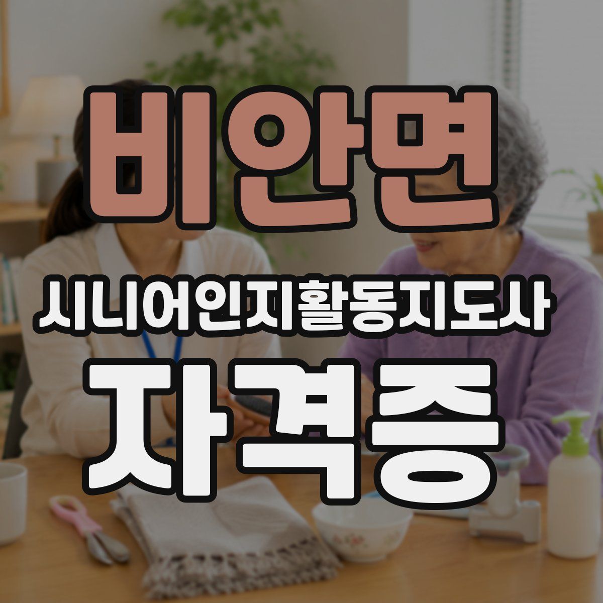 비안면 시니어인지활동지도사 자격증