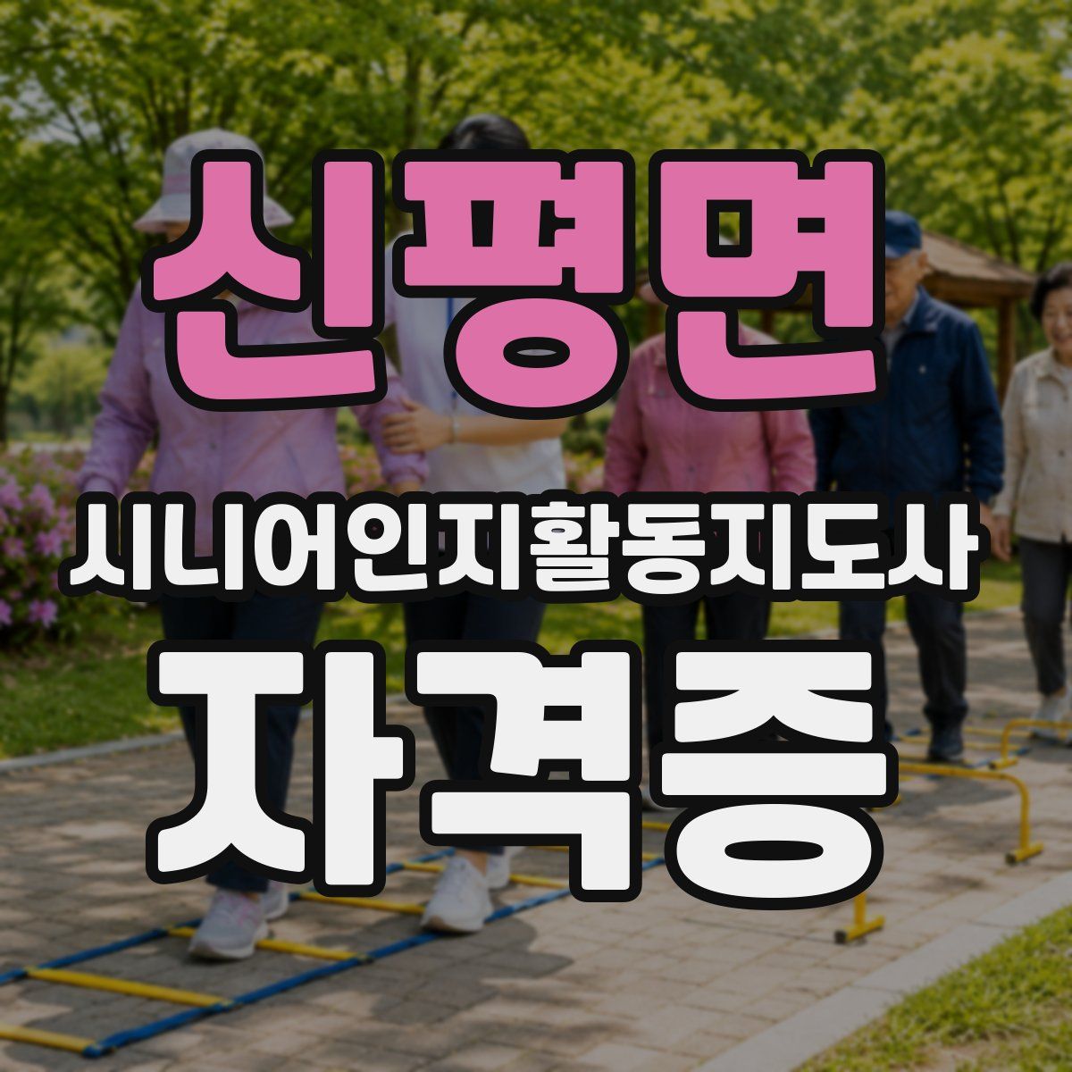 신평면 시니어인지활동지도사 자격증
