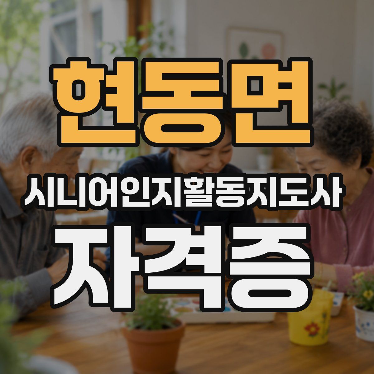 현동면 시니어인지활동지도사 자격증