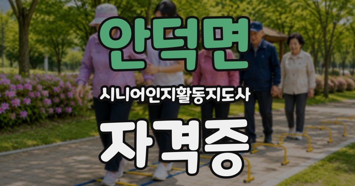 안덕면 시니어인지활동지도사 자격증