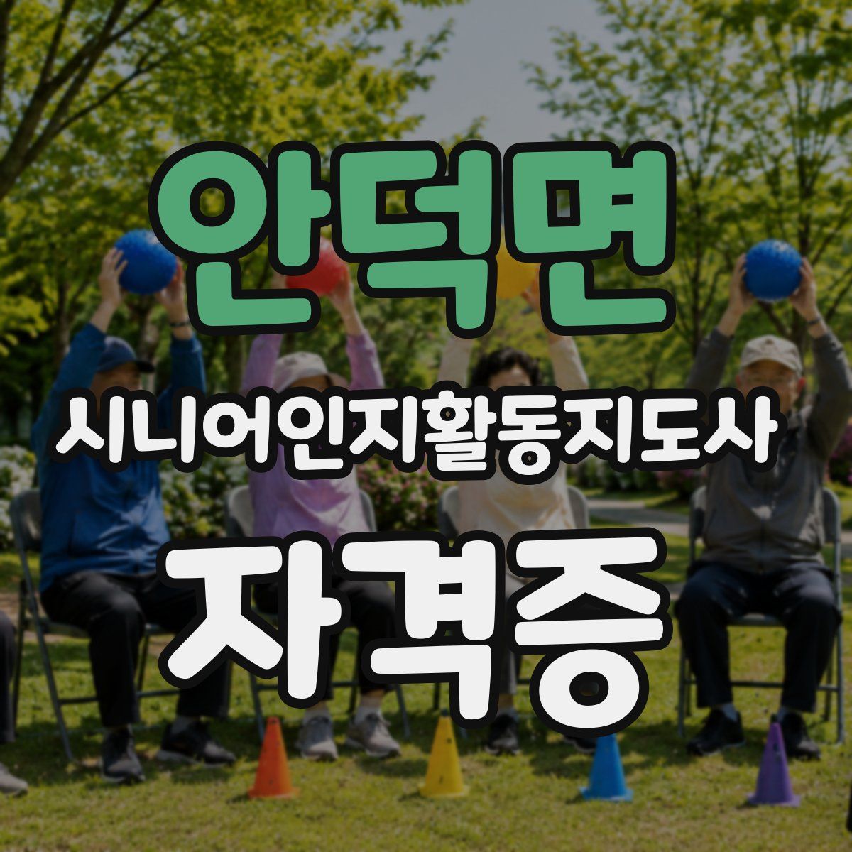 안덕면 시니어인지활동지도사 자격증