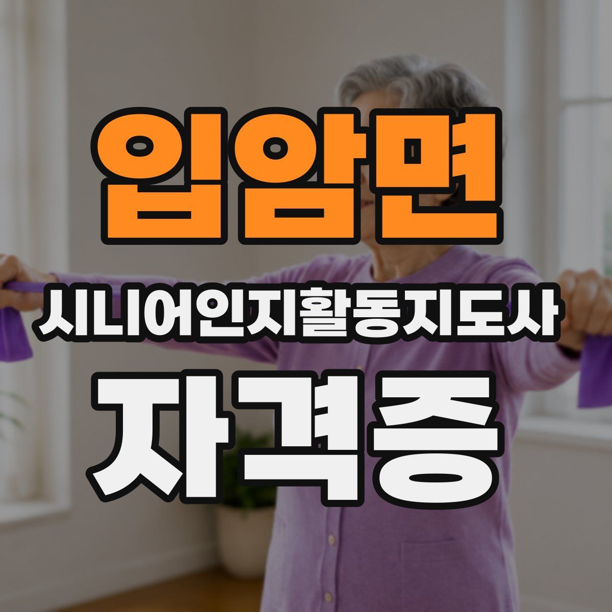 입암면 시니어인지활동지도사 자격증